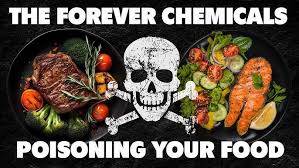 The Hidden Dangers in Our Food:  What Big Corporations and Lax Regulations Don't Want You to Know