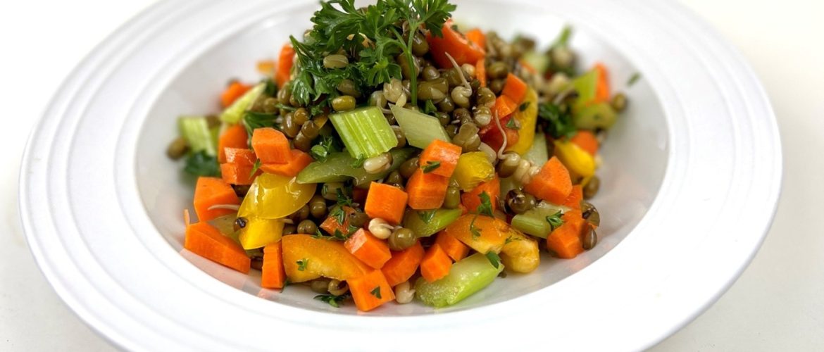 Organic Sprouted Mung Beans Salad